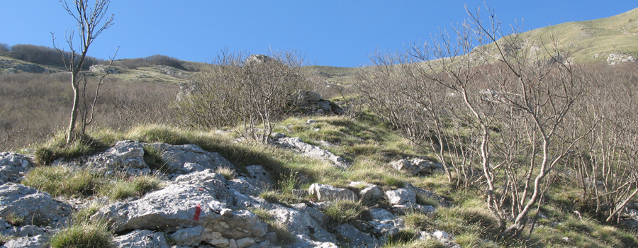 Monte Nerone Sentiero 21 - immagine 9