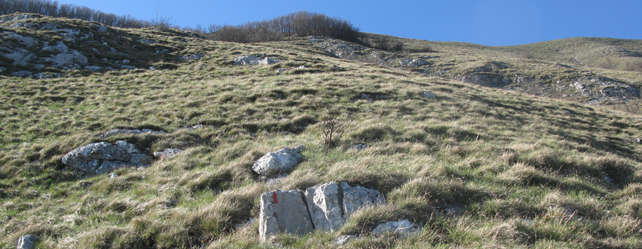 Monte Nerone Sentiero 21 - immagine 11