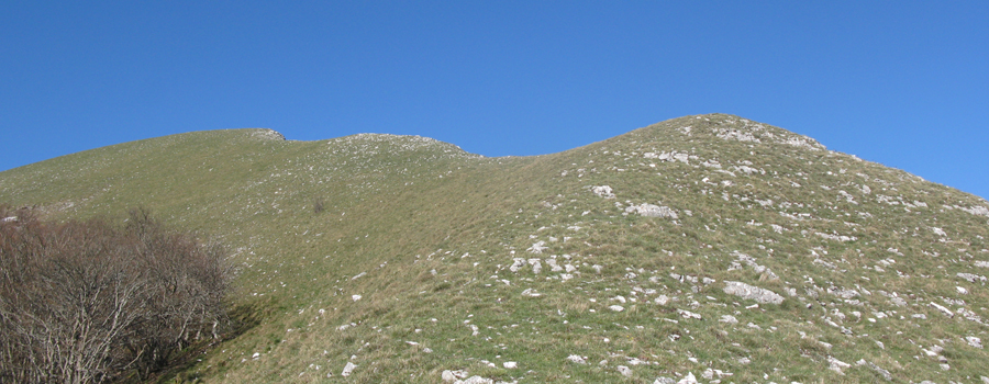 Monte Nerone Sentiero 21 - immagine 12