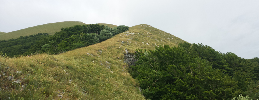 Monte Nerone Sentiero 22 - immagine 3