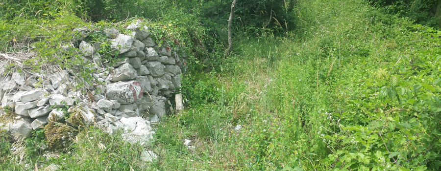 Monte Nerone Sentiero 24 - immagine 1