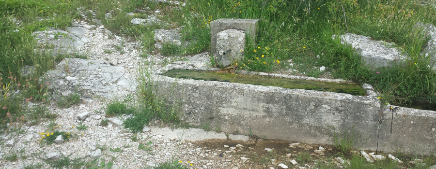 Monte Nerone Sentiero 24 - immagine 3