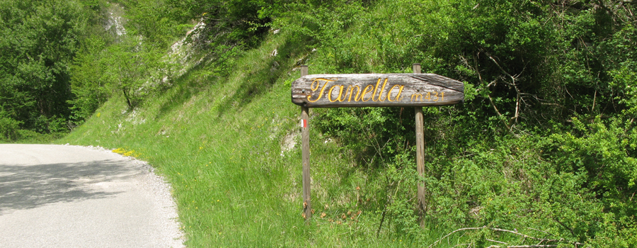 Monte Nerone Sentiero 24bis - immagine 1 (Tanella)