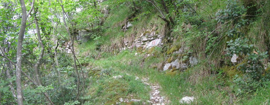Monte Nerone Sentiero 24bis - immagine 4