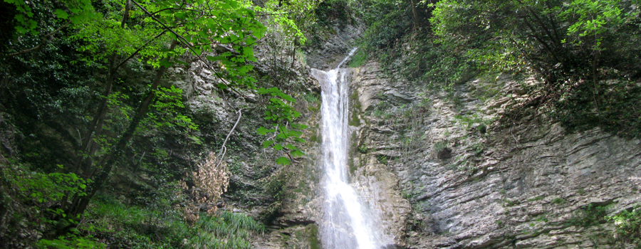 Monte Nerone Sentiero 24bis - immagine 7 (Cascata di Pian dell'Acqua)
