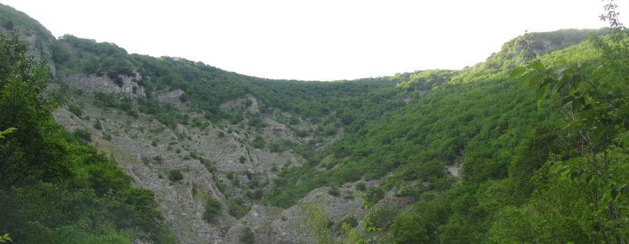 Monte Nerone Sentiero 24bis - immagine 10