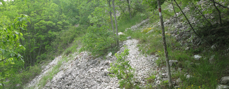 Monte Nerone Sentiero 24bis - immagine 12
