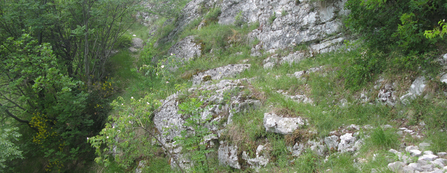 Monte Nerone Sentiero 24bis - immagine 13