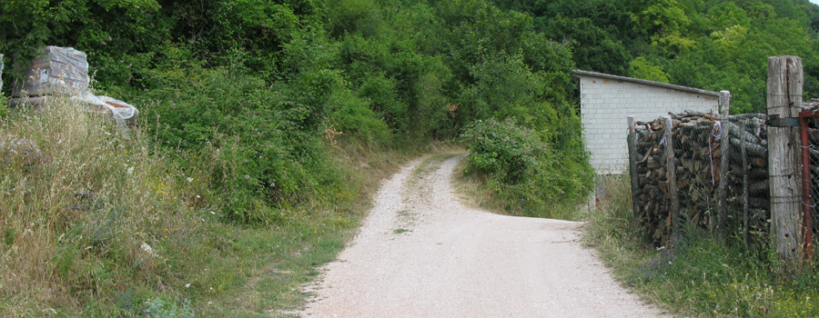 Monte Nerone Sentiero 25 - immagine 1