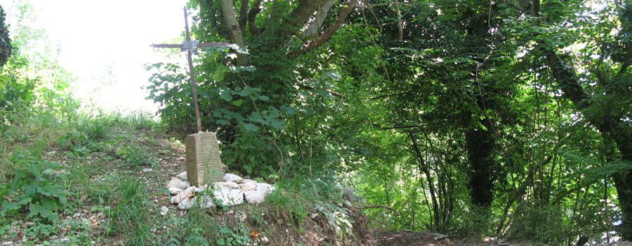 Monte Nerone Sentiero 25 - immagine 2