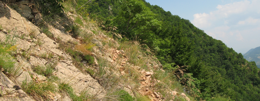 Monte Nerone Sentiero 25 - immagine 3