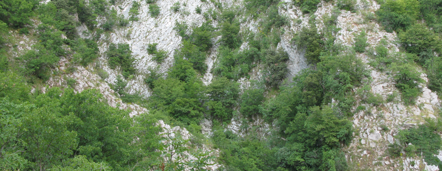 Monte Nerone Sentiero 25 - immagine 4