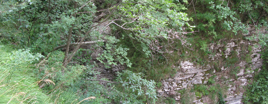 Monte Nerone Sentiero 25 - immagine 8