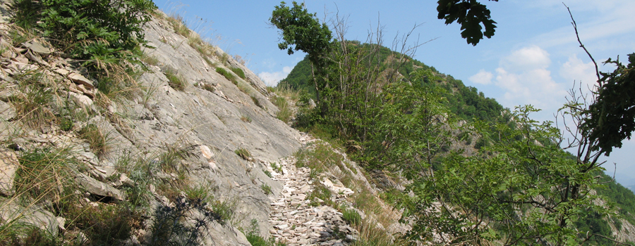 Monte Nerone Sentiero 25 - immagine 11