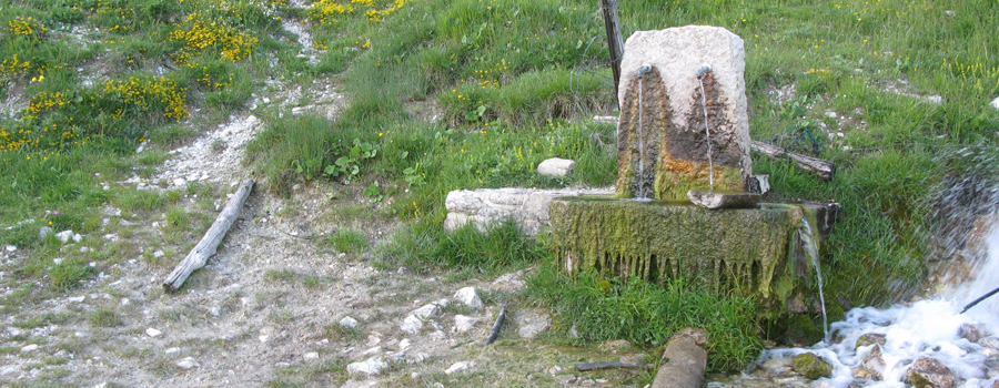 Monte Nerone Sentiero 27 - immagine 1