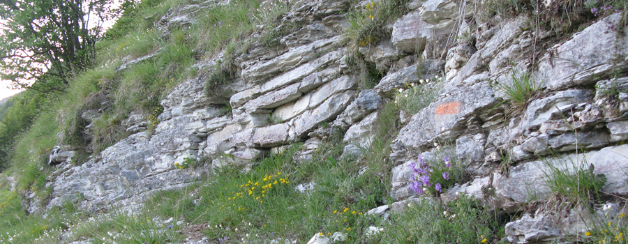 Monte Nerone Sentiero 27 - immagine 3