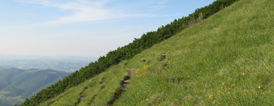 Monte Nerone Sentiero 27 - immagine 6