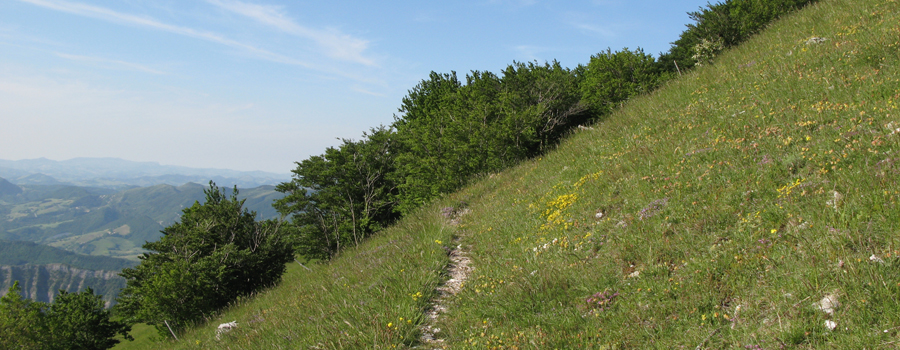 Monte Nerone Sentiero 28 - immagine 2