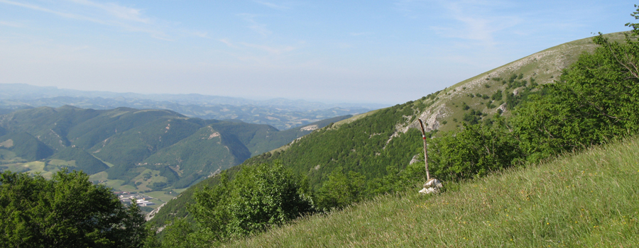 Monte Nerone Sentiero 28 - immagine 3