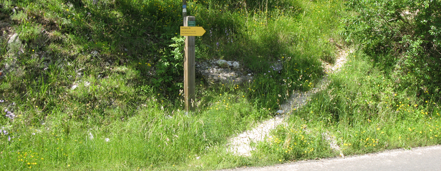 Monte Catria Sentiero 29 - immagine 1