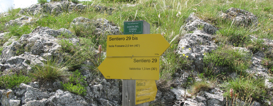 Monte Catria Sentiero 29 - immagine 2
