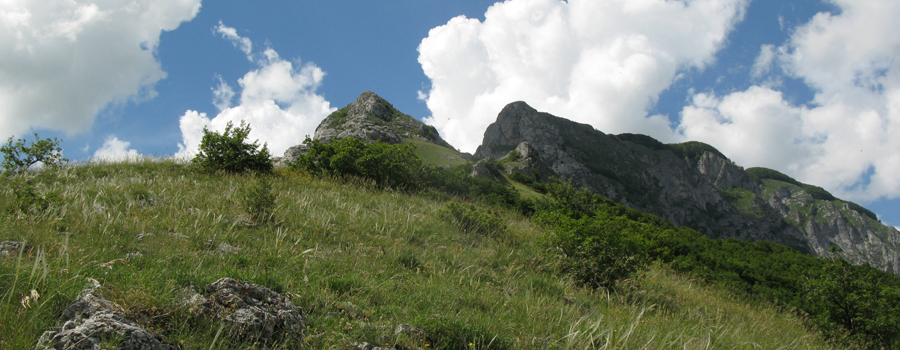 Monte Catria Sentiero 29 - immagine 3