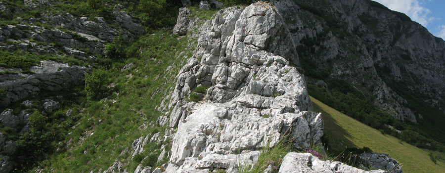 Monte Catria Sentiero 29 - immagine 7