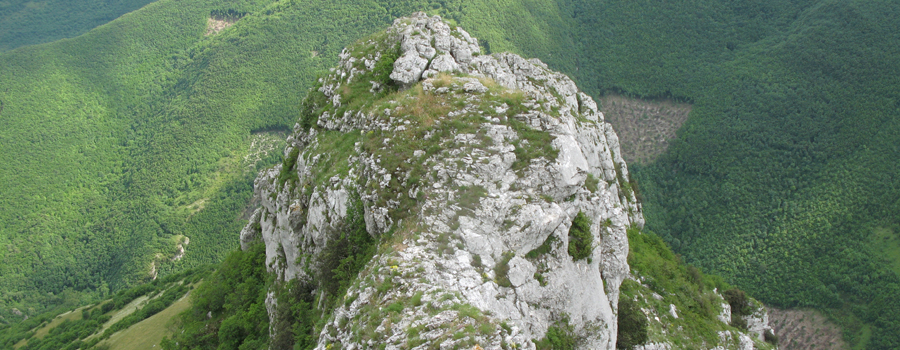 Monte Catria Sentiero 29 - immagine 9