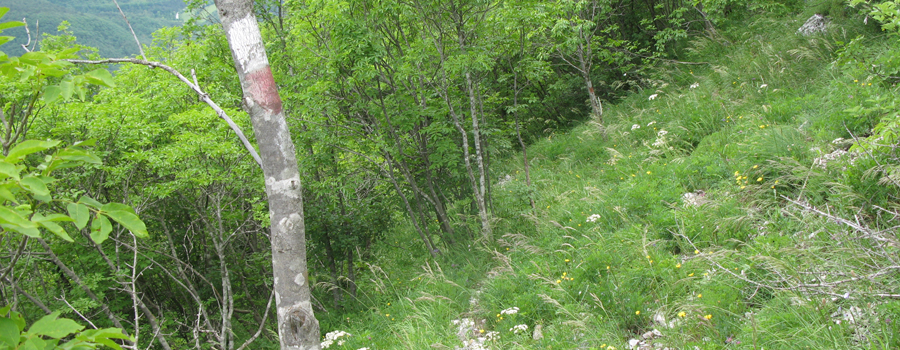 Monte Catria Sentiero 29 - immagine 12