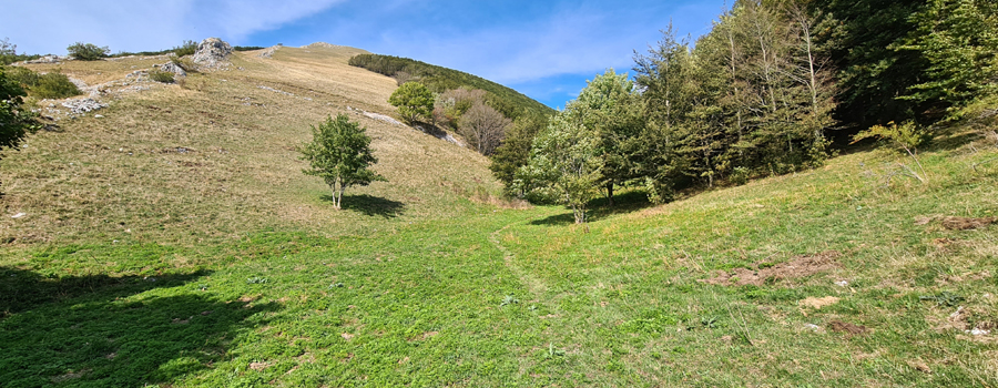 Monte Catria Sentiero 29 - immagine 15