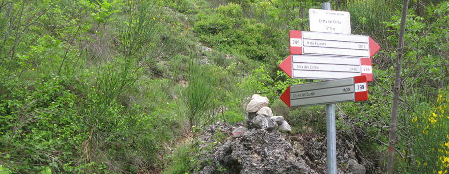 Monte Catria Sentiero 299 - immagine 1