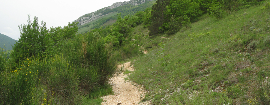 Monte Catria Sentiero 299 - immagine 3