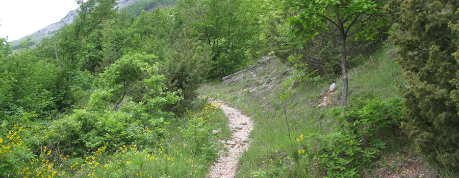 Monte Catria Sentiero 299 - immagine 4