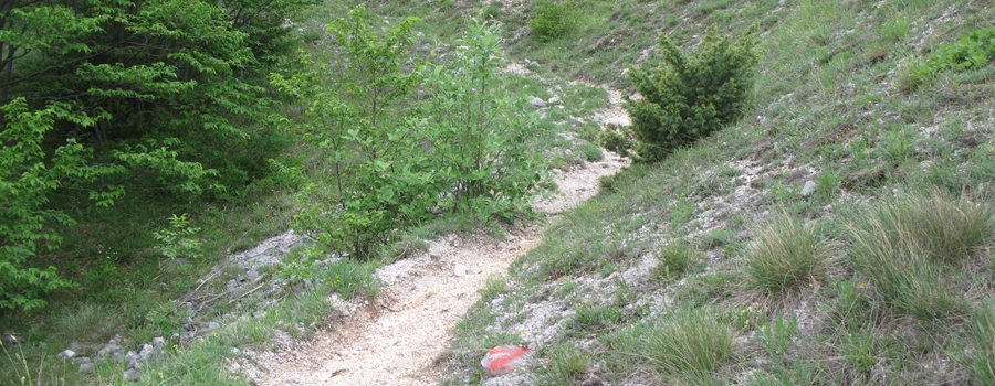 Monte Catria Sentiero 299 - immagine 5