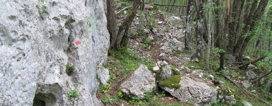 Monte Catria Sentiero 299 - immagine 7