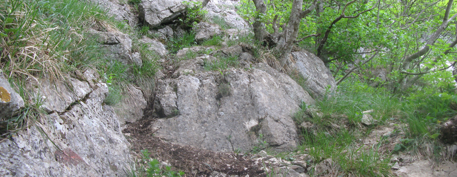 Monte Catria Sentiero 299 - immagine 8
