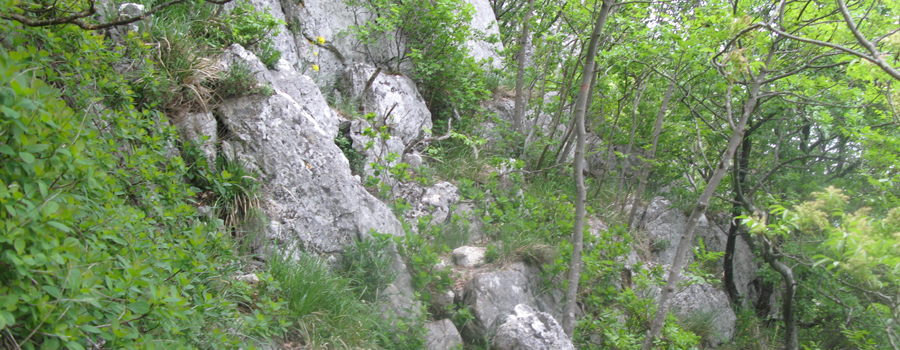 Monte Catria Sentiero 299 - immagine 9