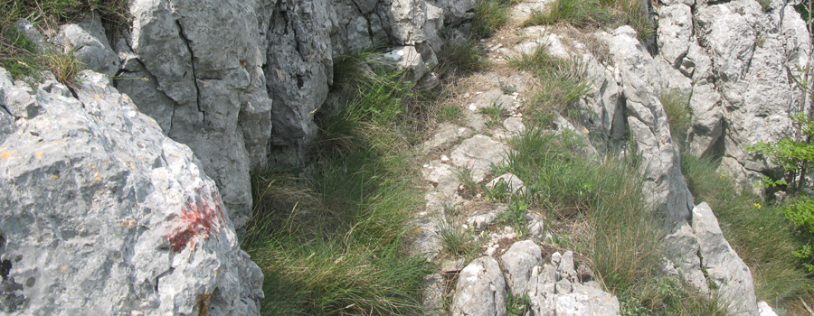 Monte Catria Sentiero 299 - immagine 10