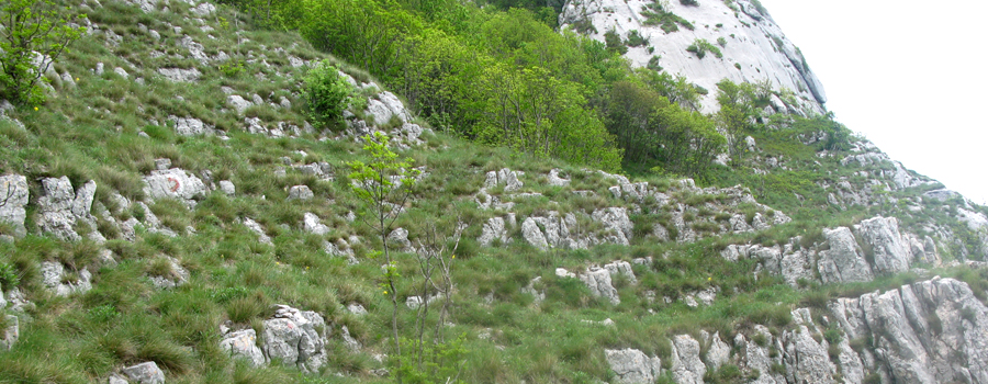 Monte Catria Sentiero 299 - immagine 11