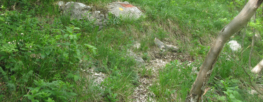 Monte Catria Sentiero 299 - immagine 12