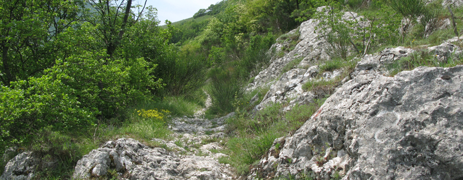 Monte Catria Sentiero 29bis - immagine 6