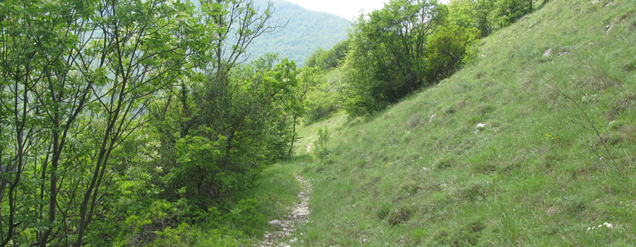 Monte Catria Sentiero 29bis - immagine 7