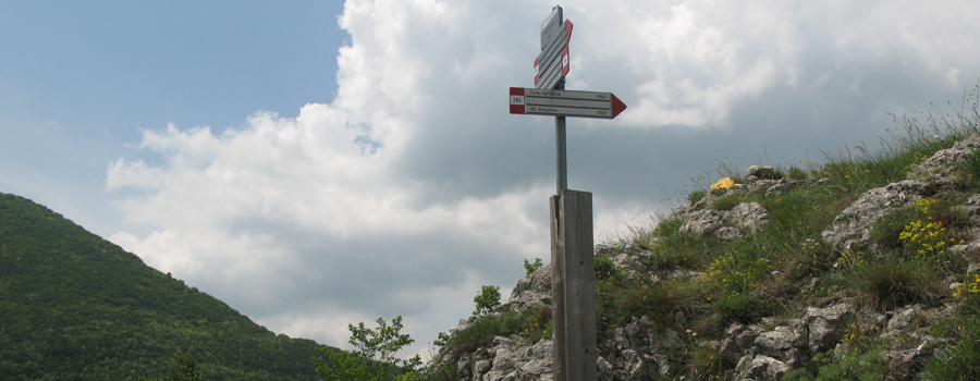 Monte Catria Sentiero 29bis - immagine 8