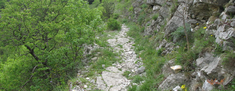 Monte Nerone Sentiero 29 - immagine 2
