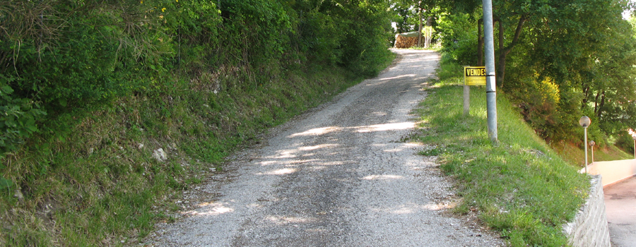 Monte Nerone Sentiero 3 - immagine 1