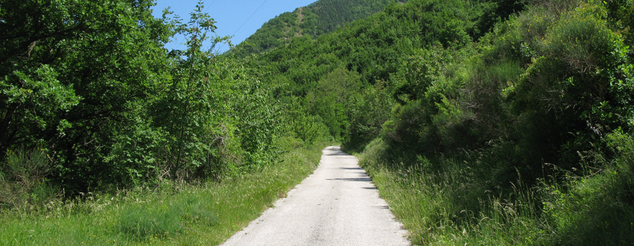 Monte Nerone Sentiero 3 - immagine 2