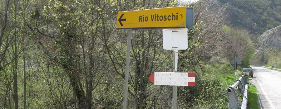 Monte Nerone Sentiero 30 - immagine 1
