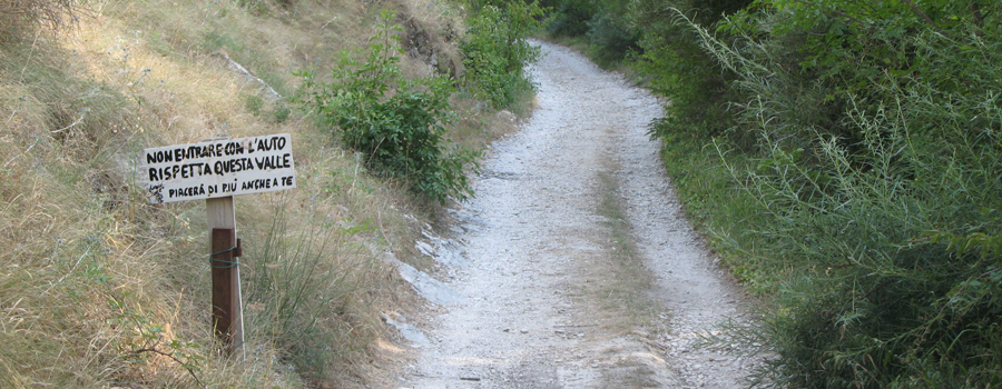 Monte Nerone Sentiero 30 - immagine 2