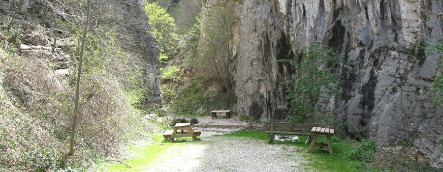 Monte Nerone Sentiero 30 - immagine 3 (Rio Vitoschio)