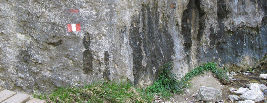 Monte Nerone Sentiero 30 - immagine 4